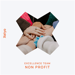 Excellence Team: Non Profit